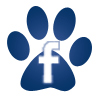 Feline Medical Clinic Facebook Page